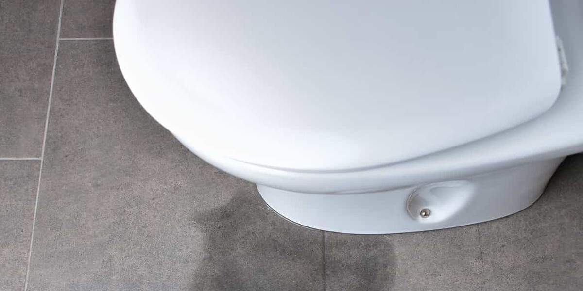 Réparation fuite WC 